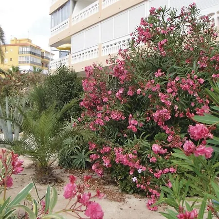 Apartamento Amazing In Torrevieja
