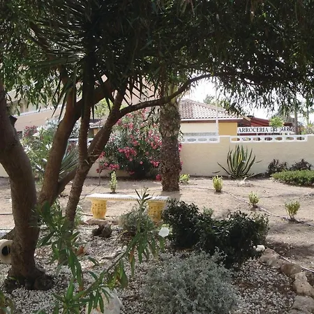 Apartamento Amazing In Torrevieja
